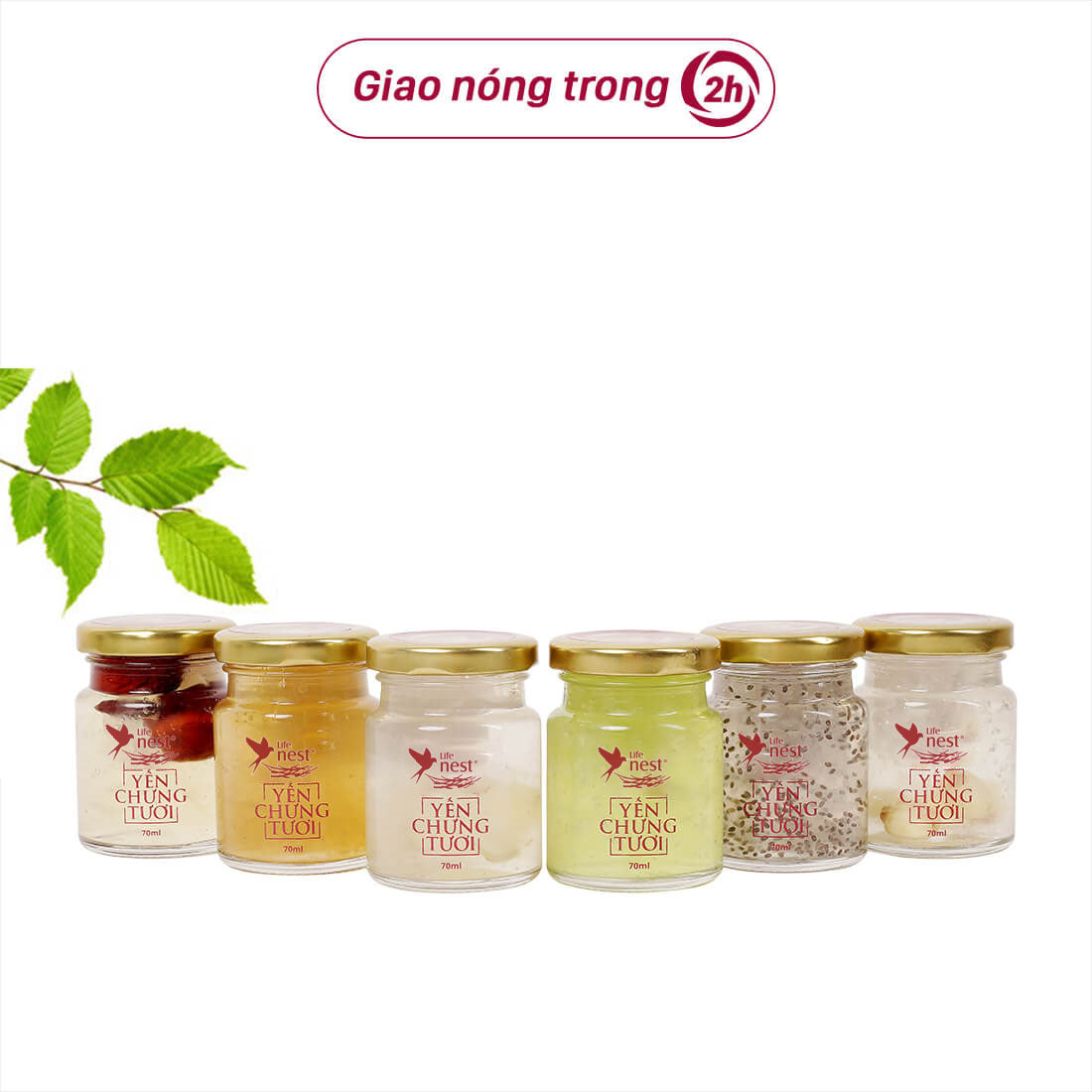 COMBO 6 chai yến chưng tươi 70ml